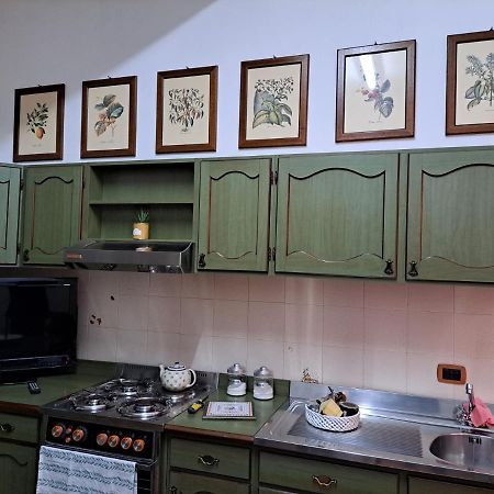 Appartement Il Vecchio Piano à Castrovillari Extérieur photo